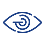 icon vision